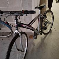 Mountain Bike shadow 400