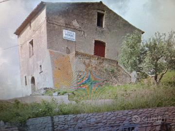 rustici