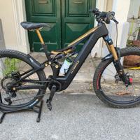 e-mtb elettrica Whistle