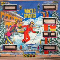 Vetro flipper vintage Winter Sports