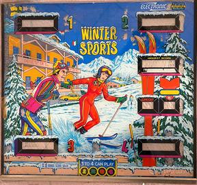 Vetro flipper vintage Winter Sports