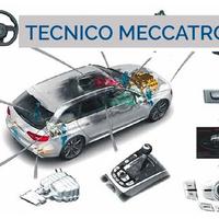 Meccatronica tecnico diagnostico Auto & Van