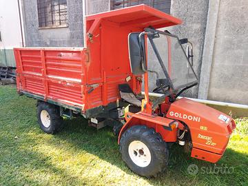 Motocoltivatore Goldoni CAR 22R 5 DT