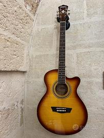 Chitarra acustica Washburn - Barcus Berry