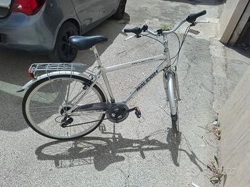 bici da passeggio 29 raleigh