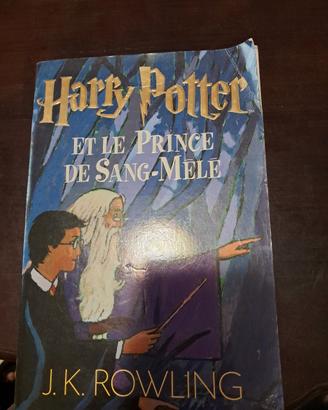 libro di Harry Potter in lingua francese