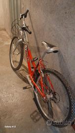MTB 24"