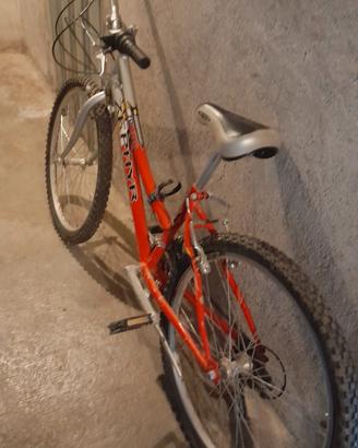 MTB 24"