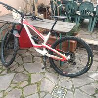 bicicletta professionale