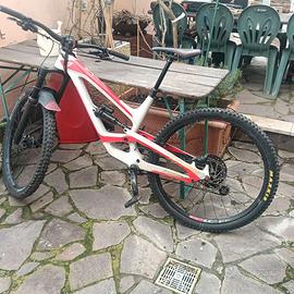 bicicletta professionale