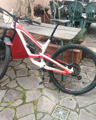 bicicletta professionale