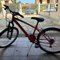 Bici MTB Montana Escape 24