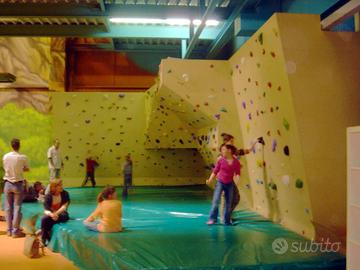 Arrampicate per Bambini x Scuole e Centri Sportivi