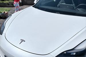 Tesla model 3 performance