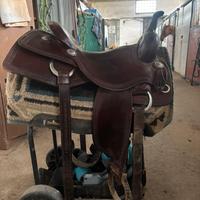 sella americana da cutting