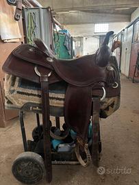 sella americana da cutting