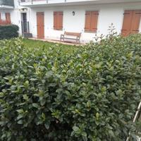 Bicamere con due bagni e con giardino