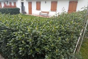 Bicamere con due bagni e con giardino