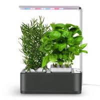 amzWOW Clizia Smart Garden - Serra idroponica per