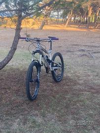 Devinci frantick 3