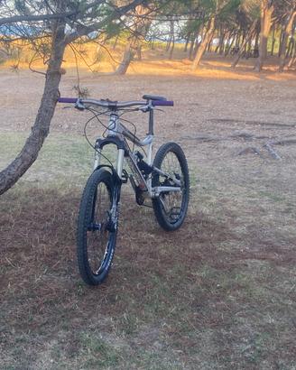 Devinci frantick 3