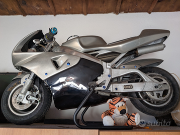 Mini moto polini