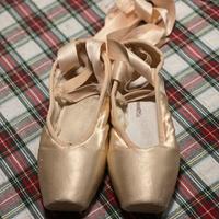 Grishko - punte - danza classica - no salvapunte