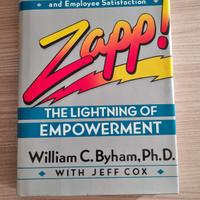 Zapp! The lighting of Empowerment