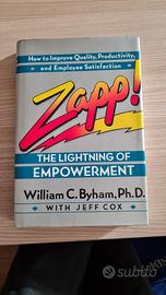 Zapp! The lighting of Empowerment