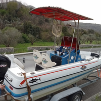 Bayliner Trophy PERMUTO