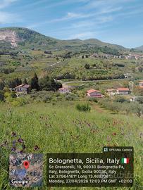 Terreno agricolo Bolognetta