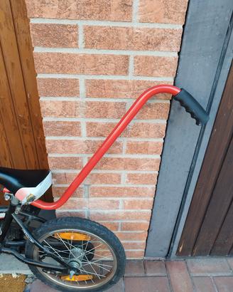 Asta per apprendimento primi passi bici