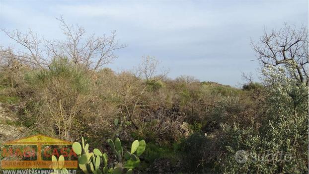 Camporotondo Etneo terreno Agricolo zona Bartolini