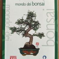 Alla scoperta del meraviglioso mondo dei bonsai