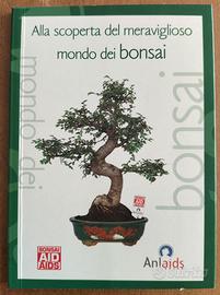 Alla scoperta del meraviglioso mondo dei bonsai
