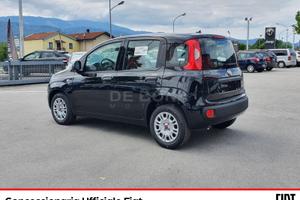 Fiat Panda 1.0 hybrid easy s&s 70cv