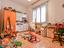 Immagine 14