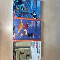 Libri di testo di Italiano, Caro immaginar 