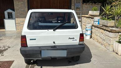 Fiat panda young