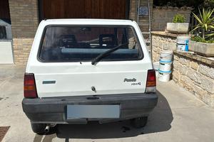 Fiat panda young