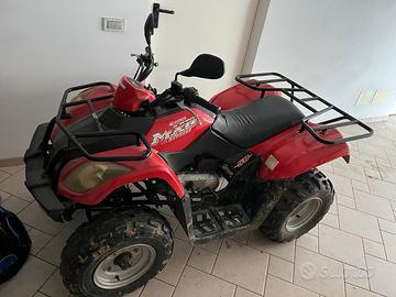 Quad usato