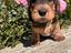 Immagine 6