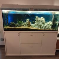 Acquario con mobile