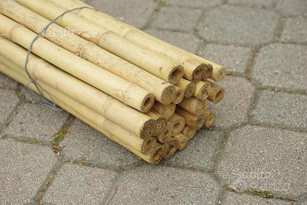 Canne in bamboo per sostegno ortaggi e altri usi - Giardino e Fai da te In  vendita a Pistoia