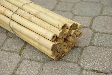 Canne in bamboo per sostegno ortaggi e altri usi