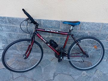 mountain bike