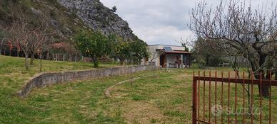 Vendita terreno agricolo con casetta