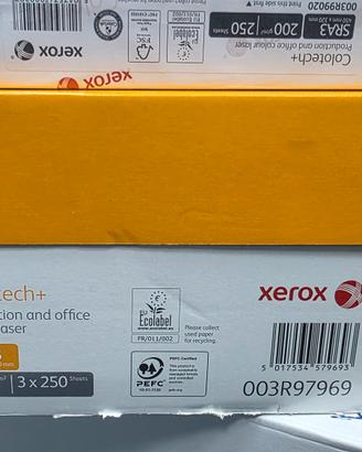 cartoncino bianco SRA3 200g Xerox