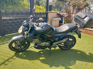 Suzuki Gladius 650 anno 2014