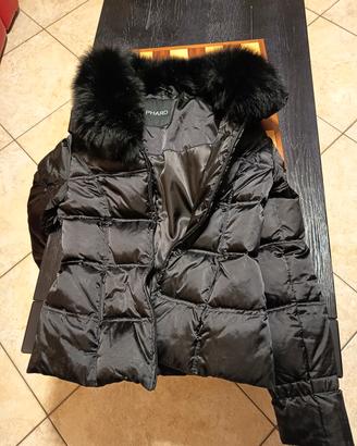 giubbino phard donna